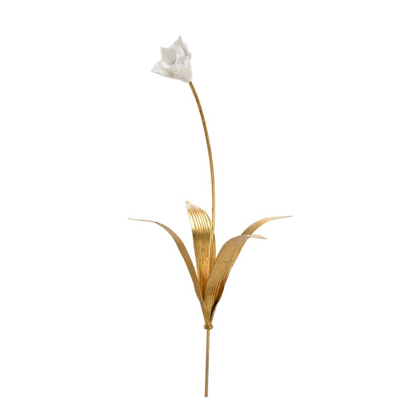 TULIP STEM-MED Botanical by Chelsea House